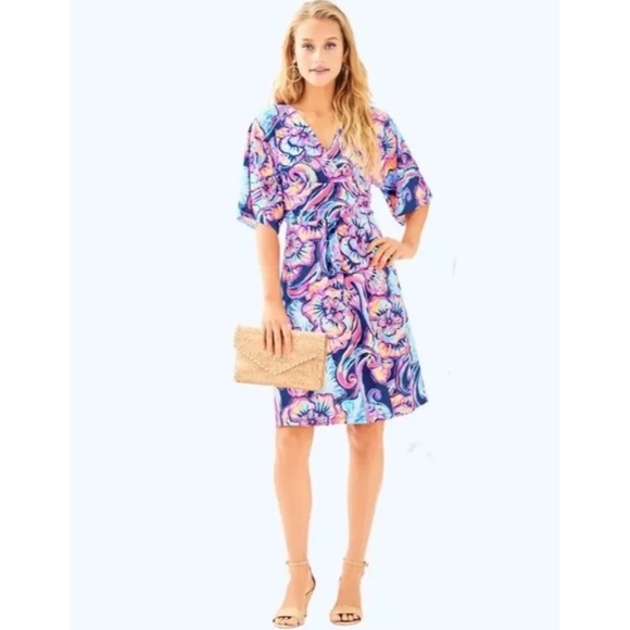 Lilly Pulitzer Nauti Navy Boho Boteau Parigi Dress - Picture 2 of 10